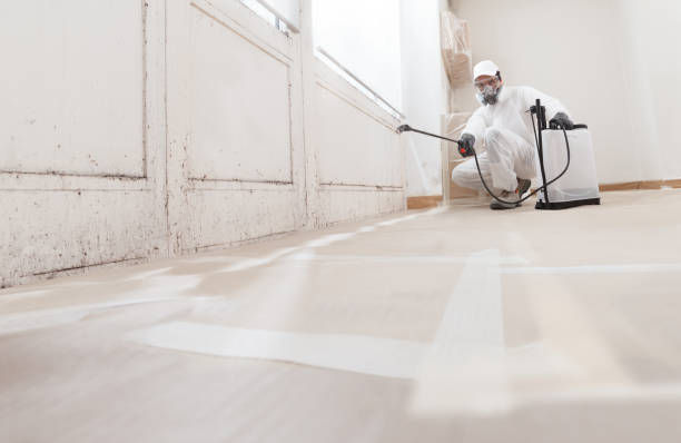 24/7 Emergency Attic Mold Remediation experts in Charlotte Park, FL