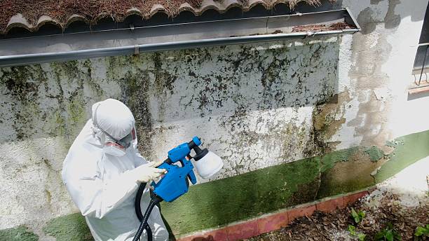 Top rated local Attic Mold Remediation specialists in Charlotte Park, FL